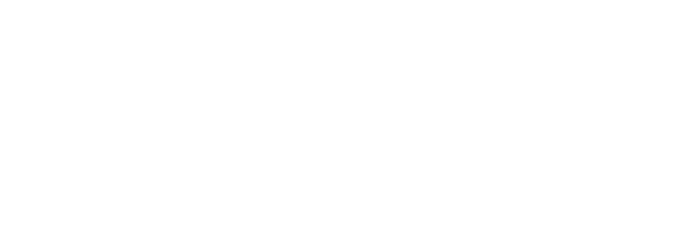 Logo Neckarbau